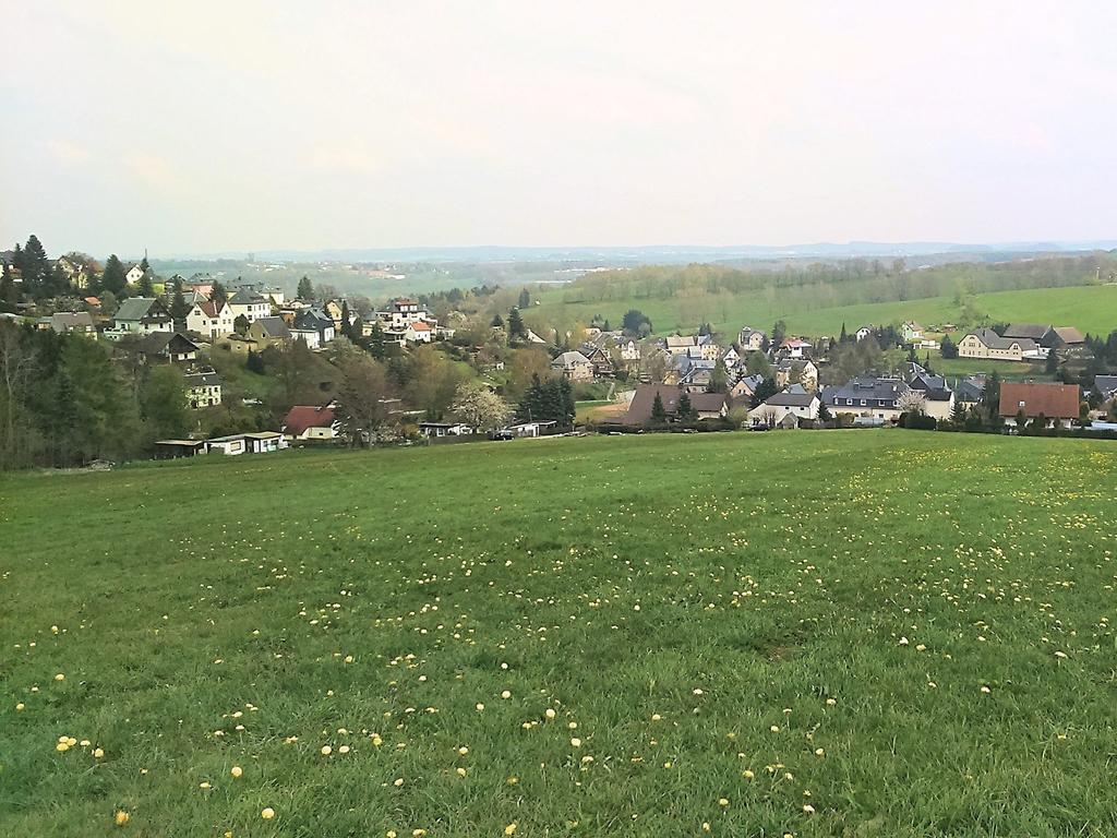 Apartment With Views Of The Ore Mountains Oelsnitz  Buitenkant foto